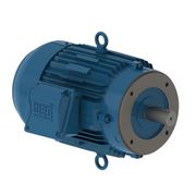 Motor Elétrico Trifásico 2 Pólos 220-380V 2CV L80 B14D 12042332 WEG
