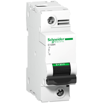 Disjuntor Mini Monopolar 125A 220VCA C 15KA Acti9 A9N18448 Schneider