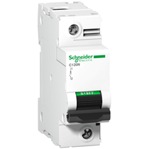 Disjuntor Mini Monopolar 100A 220VCA C 10KA Acti9 A9N18358 Schneider