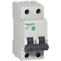 Disjuntor Mini Bipolar 63A 400VCA C 6KA Easy9 Ez9F56263 Schneider