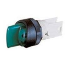 Comutador Knob Curto 2 Posições Verde 22 3mm 45G CLA245R15 Ace Schmersal