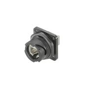 Conector Rj45 Fêmea Cat Cat6 Com Base IEBSV01PRJ45FJA Weidmuller Conexel