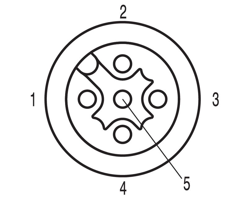 230241