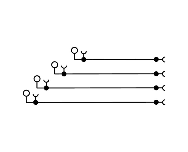 232407