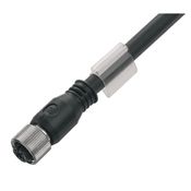Cabo 8P 6,3Mm M12X 0,5M SAILM12BG8S0.5U Weidmuller Conexel