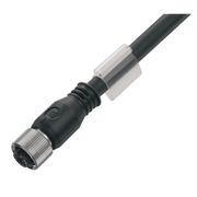 Cabo 8P 6,3Mm M12X 0,5M SAILM12BG8S0.5U Weidmuller Conexel