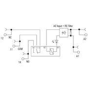 Acoplador Relé 230V 1Rev TRS230VACRC1CO Weidmuller Conexel