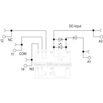 Base Para Relé Trz 24Vdc 1Co Empty 1123370000 TRZ24VDC1COEMPTY Weidmuller Conexel