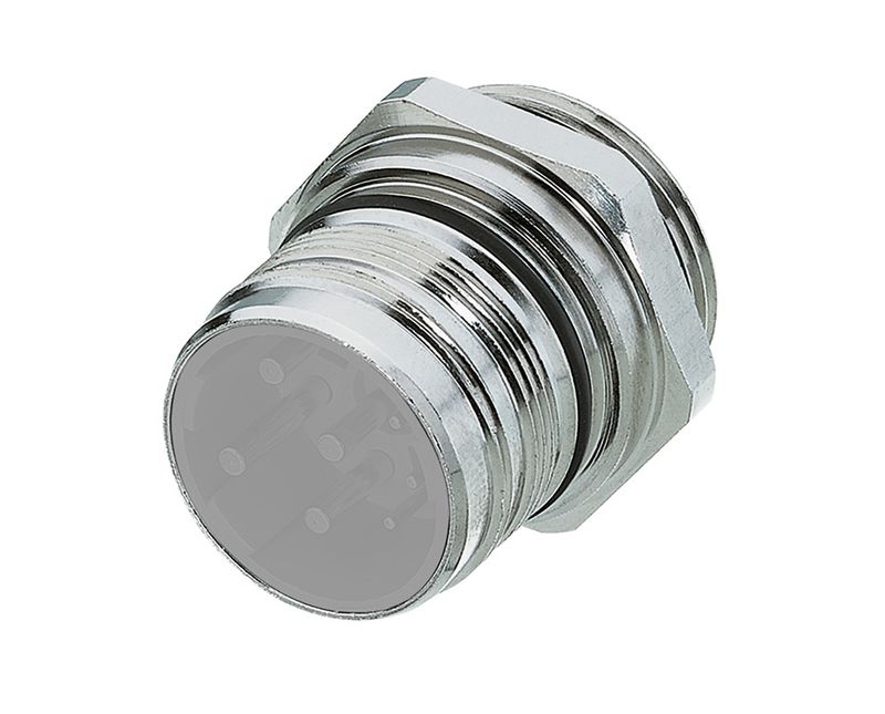 225404