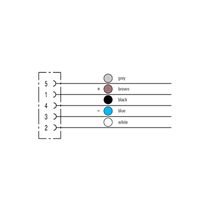 Conector Sensor Fêmea Ang Pu Sem Sinalizacao 5P M12 5M Sailm1 SAILM12BW55.0U Weidmuller Conexel