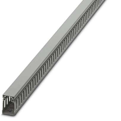 Canaleta Rec Ab Cz C/Tp 40X 60X 2M CD40X60 - Phoenix Contact