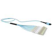 Cabo Tronco 12F Om4 Acqua Mpo12 / Upc 80M 33902507 - Furukawa