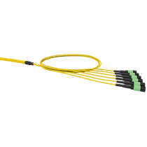 Cabo Tronco 72F Om4 Lszh Acqua Mpo / Upc 50M 33902856 - Furukawa