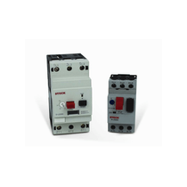 Disjuntor Motor Tripolar 6-10A 690V 2,25KA SLS2251E Steck
