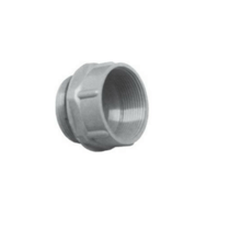 Adaptador Rosca Plástico 29 PG x Bsp 1.1/2 S0029 Steck