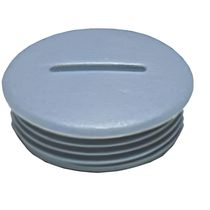 Tampao Eletroduto Pa Cinza Bsp 1" S025 Steck