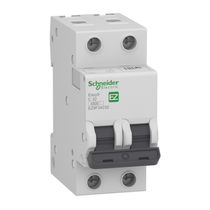 Disjuntor Mini Bipolar 20A 400VCA C 3KA EZ9F33220 Schneider