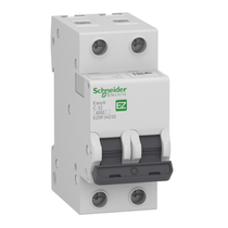 Disjuntor Mini Bipolar 40A 400VCA C 3KA EZ9F33240 Schneider