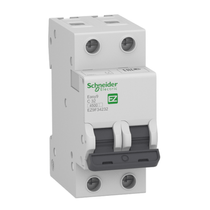 Disjuntor Mini Bipolar 10A 400VCA C 3KA EZ9F33210 Schneider