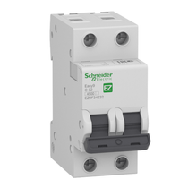 Disjuntor Mini Bipolar 50A 400VCA C 3KA Easy9 EZ9F33250 Schneider