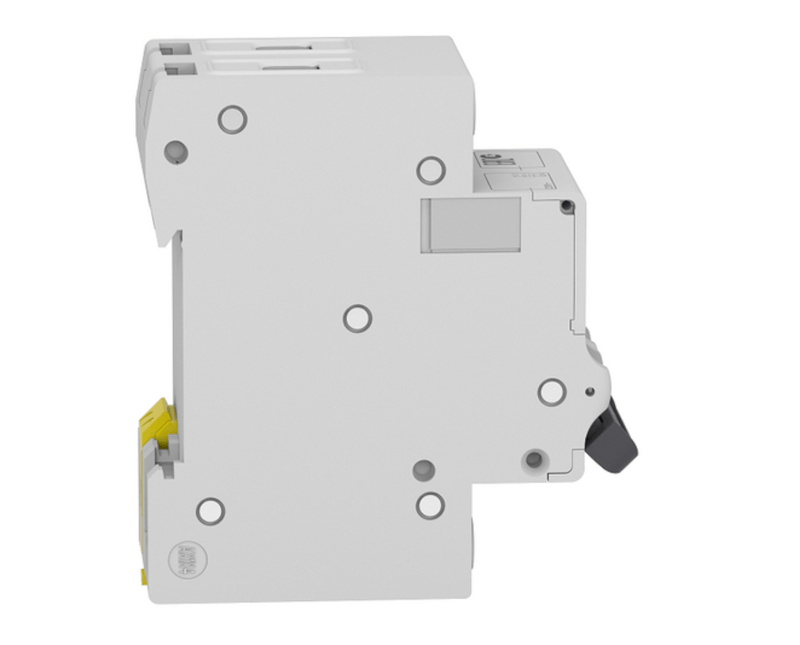Disjuntor Mini Bipolar 50a 400VCA C 3KA Easy9 | esquerda