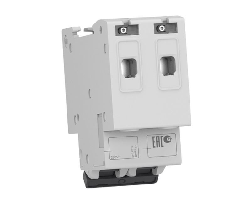 Disjuntor Mini Bipolar 50a 400VCA C 3KA Easy9 | Atràs
