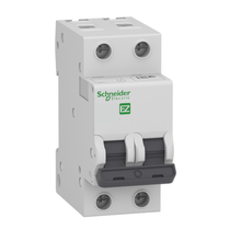 Disjuntor Mini Bipolar 6A 127/230VCA C 5KA EZ9F33206 Schneider