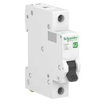 Disjuntor Termomagnético Easy9 Monopolar 25A Curva B 3KA 230V EZ9F13125 Schneider