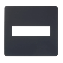 Placa 4X4 2 Postos Orion S730201294 Schneider