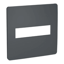 Placa 4X4 2 Postos Orion S730201294 Schneider