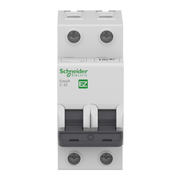 Disjuntor Mini Bipolar 20A 127 230VCA B 5KA EZ9F13220 Schneider