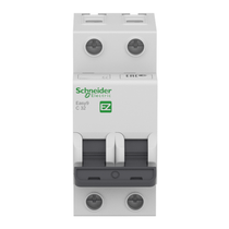 Disjuntor Mini Bipolar 20A 127 230VCA B 5KA EZ9F13220 Schneider