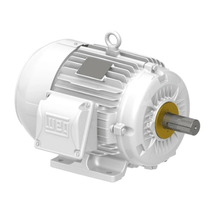 Motor Elétrico Trifásico 6 Pólos 220/380V 3CV 1200Rpm L100L B3D Ir3 Pes 12988539 WEG
