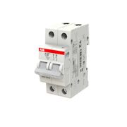 Disjuntor Mini Bipolar 40A 440V Curv C 5KA SJ202TC40 ABB