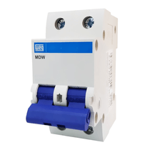 Disjuntor Mini Bipolar 10A 400VCA/250VCC B 5KA Mdw Mdwb102 Weg