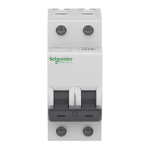 Disjuntor Mini Bipolar 25A 440VCA C 10KA Acti9 A9F84225 Schneider