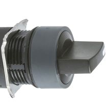 Harmony cabeçote XB616 mmcomutadormoldura metálicaretorno pro mola2 posições "fixafixas"ZB6AD22 - Schneider