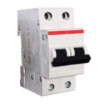 Disjuntor Mini Bipolar 63A 230/400V Curva C 3KA SJ202TC63 ABB