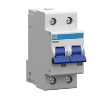 Disjuntor Mini Bipolar 25A 400VCA/250VCC B 10KA Mdwh Mdwhb252 Weg