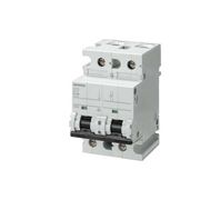 Disjuntor Mini Bipolar 100A 220/380VCA Curva C 10KA 5Sp4 5SP42917 Siemens