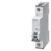 Disjuntor Mini Monopolar 63A 230/400VCA Curva C 6KA 5SY61637 Siemens