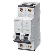 Disjuntor Mini Bipolar 40A 220/380VCA C 10KA Sentron 5Sy42407 Siemens