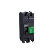 Disjuntor Caixa Moldada Bipolar Termomagnético Fixo 440VCA 60A 20KA EZC100H2060 Schneider
