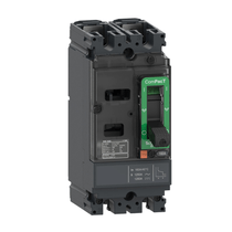 Disjuntor Caixa Moldada Bipolar Térmico/Magnético Fixos 525VCA/500Vcc 25A 10KA Compact C10F2Tm025 Schneider