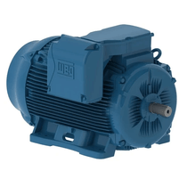 Motor Elétrico Trifásico 2 Pólos 220/440V 60CV 3600Rpm 225S/M B3D Ir3 Pes 11277875 WEG