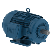Motor Elétrico Trifásico 4 Pólos 220/380V 0,16CV 1800Rpm 63 B3D Ir3 Pes 11404493 WEG