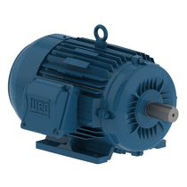 Motor Elétrico Trifásico 8 Pólos 220/380V 1,5CV 900Rpm 100L B3D Ir3 Pes 11417406 WEG