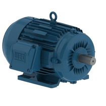Motor Elétrico Trifásico 4 Pólos 380/660V 5CV 1800Rpm L100L B3D Ir3 Pes 11603327 WEG