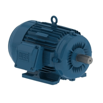 Motor Elétrico Trifásico 2 Pólos 380/660V 12,5CV 3600Rpm 132M B3D Ir3 Pes 11841384 WEG