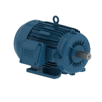 Motor Elétrico Trifásico 8 Pólos 380/660V 3CV 900Rpm 132M B3D Ir3 Pes 12158672 WEG